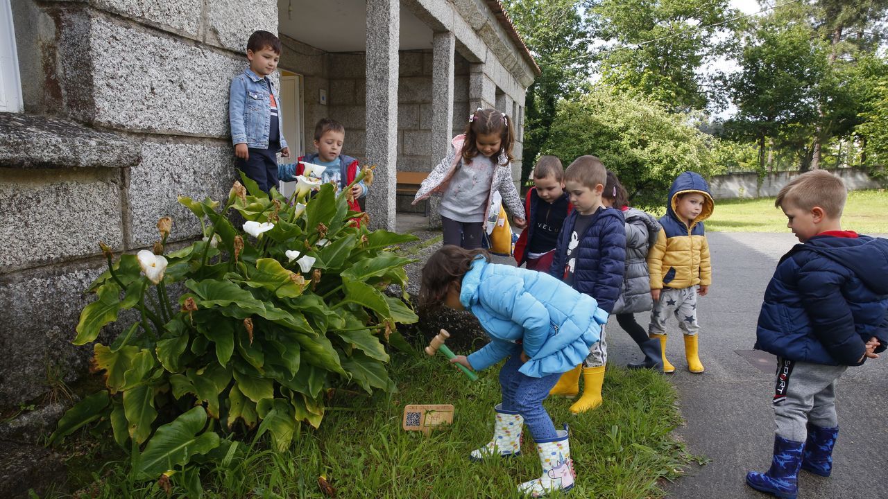Alumnos de escuela unitaria del Saiar, que pertenece al CRA de Caldas de Reis, colocaron ayer los tableros con los códigos QR