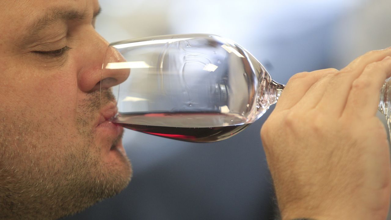 Cata con el director técnico de la D. O. de Rioja Pablo Franco en Fevino