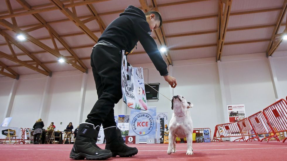 III Exposición Canina de Ponte Caldelas