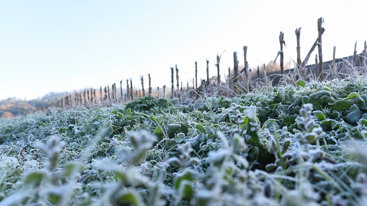 0 grados en Abegondo (A Coruña)