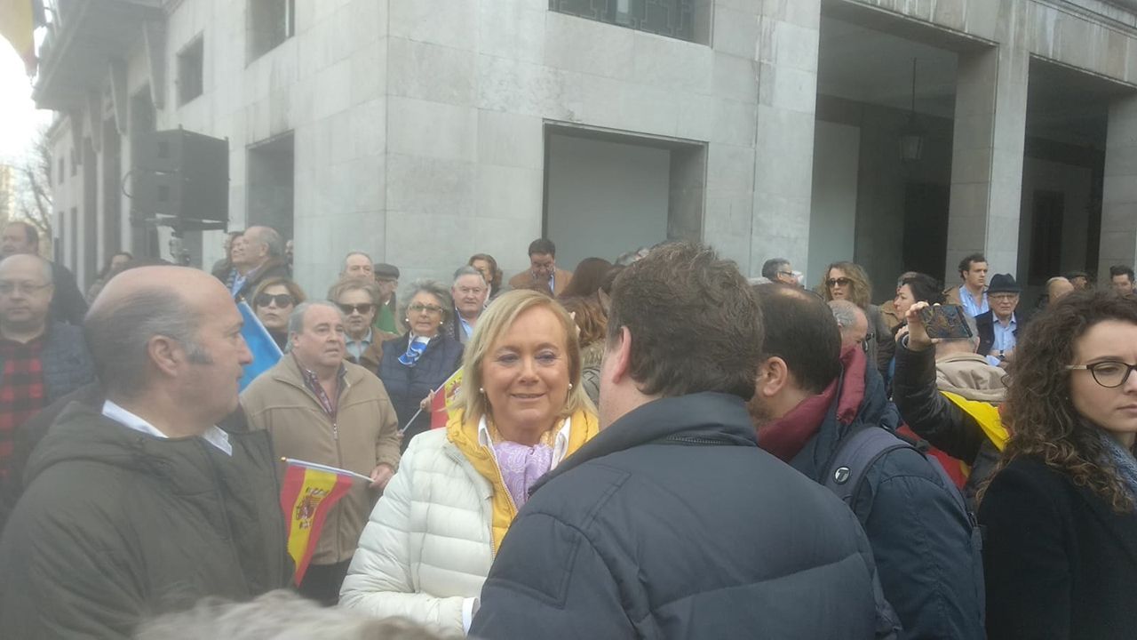 Manifestación por la unidad de España en Oviedo
