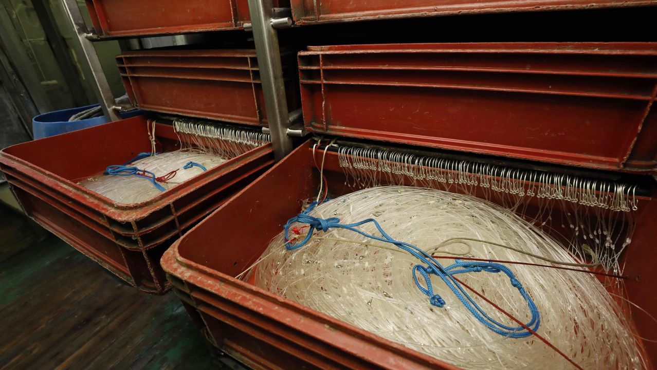 En cajas, ya preparados, guardan miles de sedales y anzuelos listos para usar