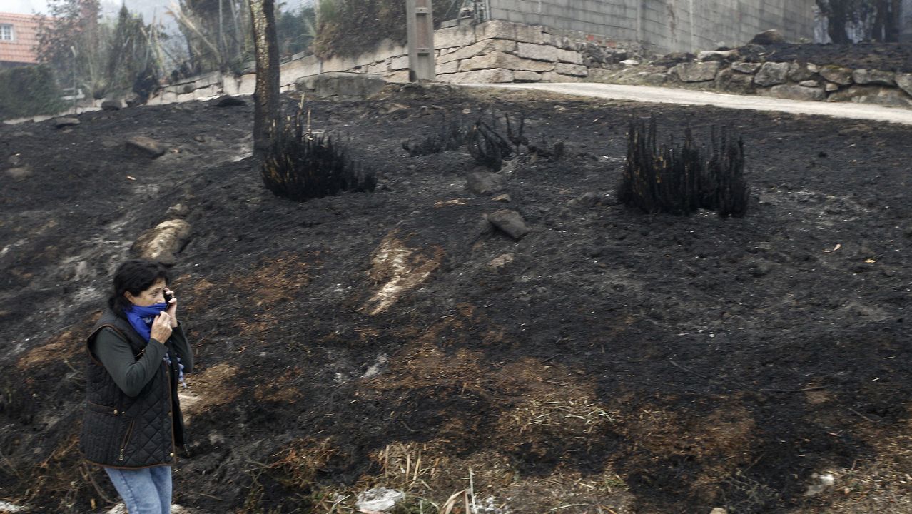 En San Fiz, Bóveda, los bomberos hicieron contrafuegos para evitar la propagacion de las llamas