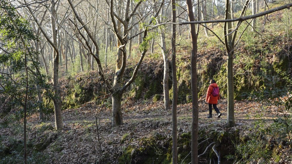 Monte Xiabre, entre Vilagarcía, Catoira y Caldas
