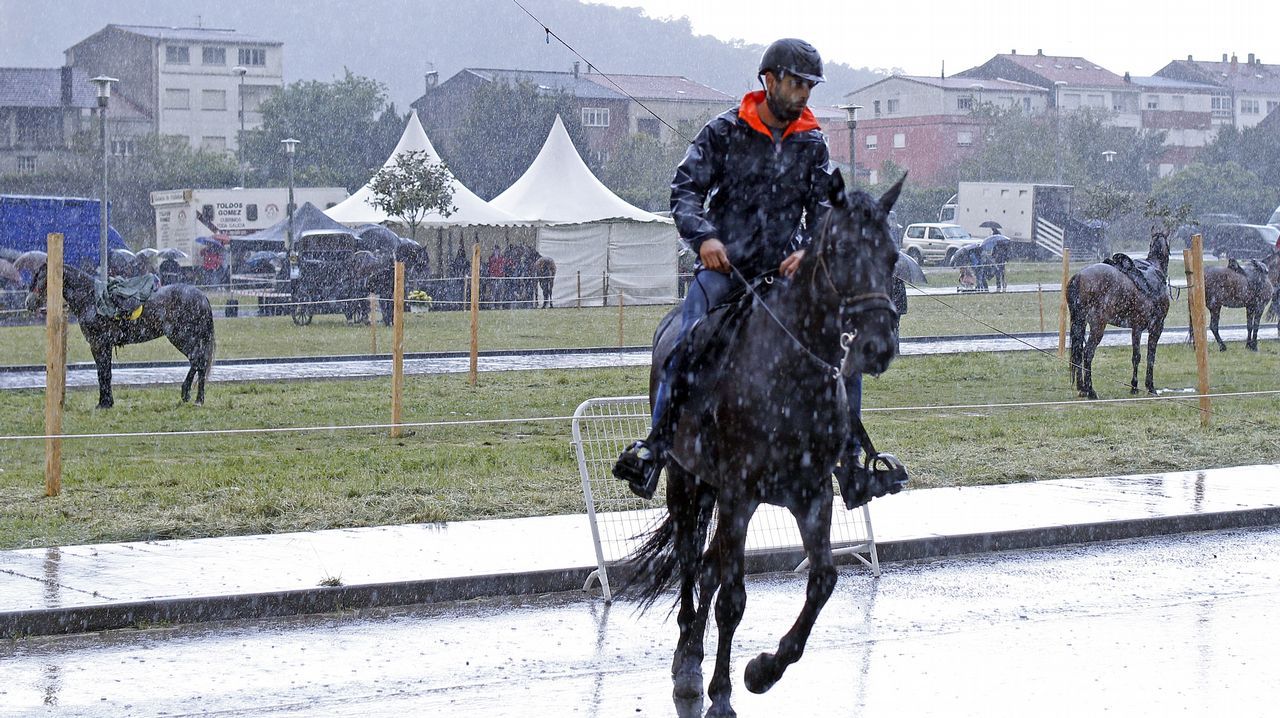 Feria caballar en las Fiestas de San Marcos 2019