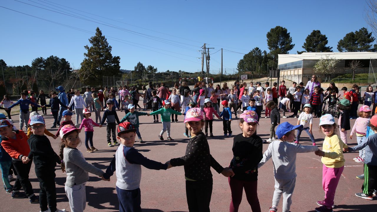 El colegio de Seixalbo disfrutó del día de árbol con un acto simbólico en el centro