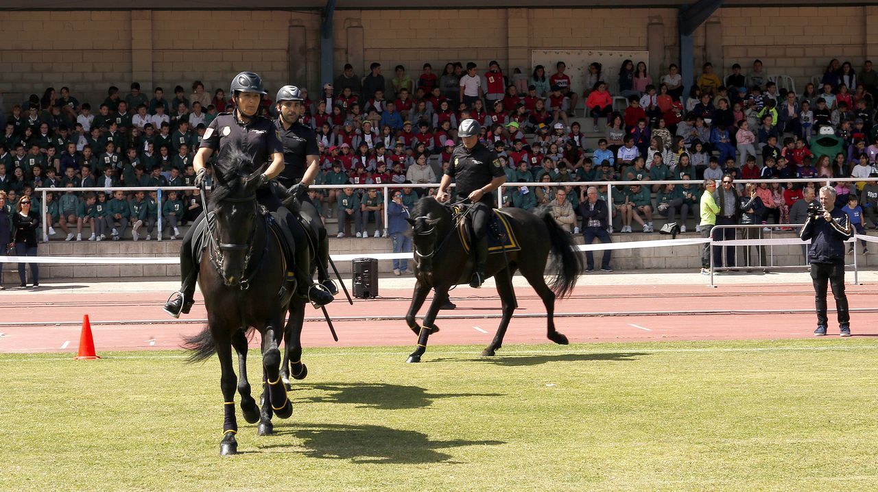 Exhibicion de la Policía Nacional para los escolares de Ribeira con helicoptero, caballería, perros de rastreo