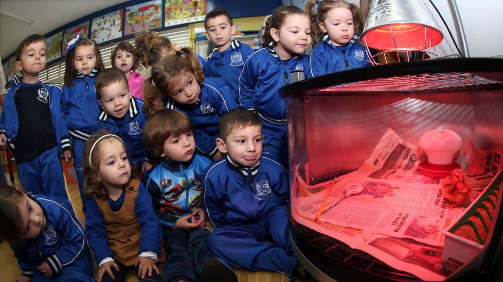 Proyecto voz natura en el colegio Jaime Balmes