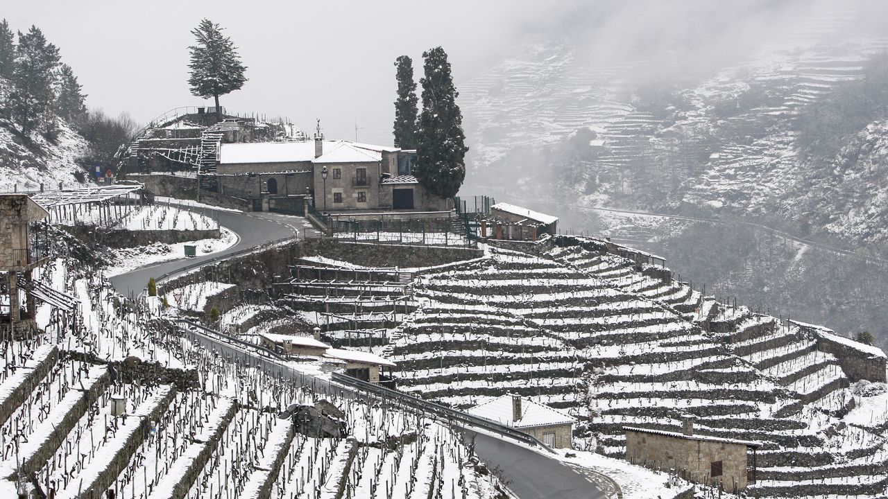 La nieve que deja el temporal cubre los bancales de las viñas de la Ribeira de San Fiz.