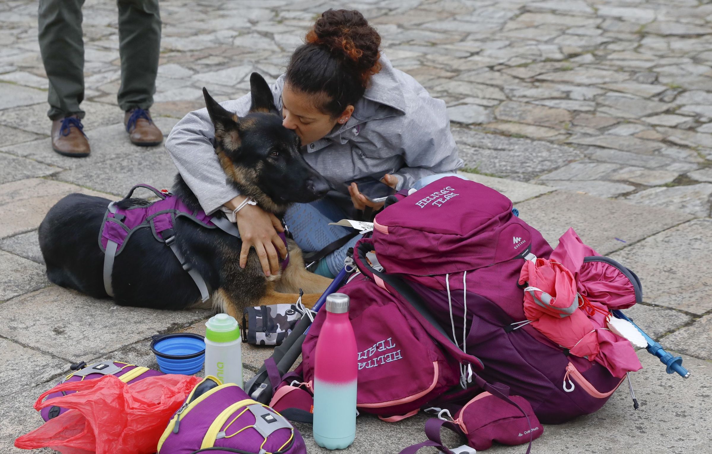 Chegada dunha peregrina co seu can � Obradoiro dende Sarria. 19/06/2021