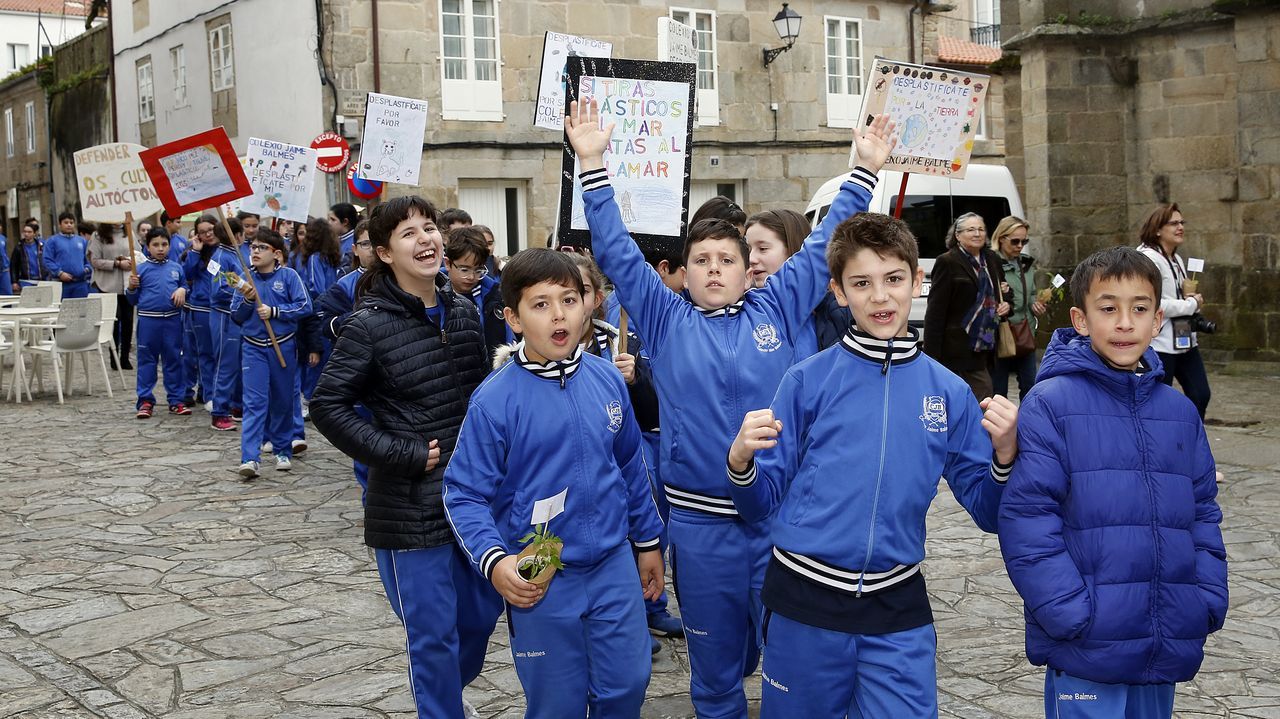 Voz Natura final del colegio Jaime Balmes, entrega de brotes de hortalizas de su huerto escolar 2020