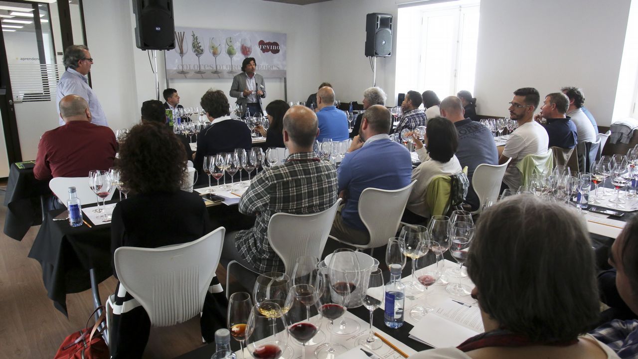 Fevino, primera cata: 8 vinos de 100 Puntos Parker, con Luis Gutiérrez