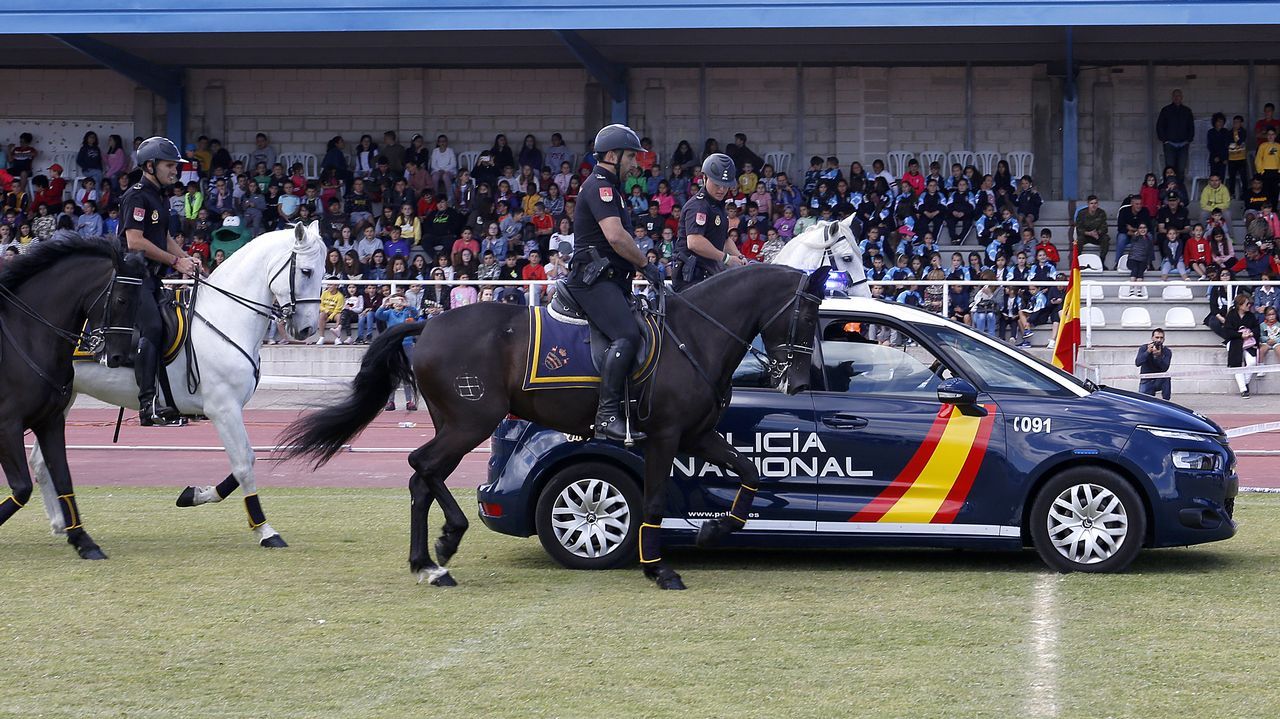 Exhibicion de la Policía Nacional para los escolares de Ribeira con helicoptero, caballería, perros de rastreo