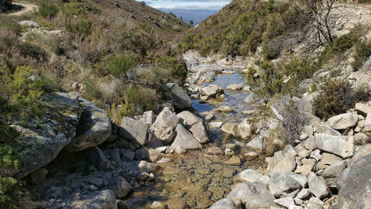 Parque Natural del Xurés