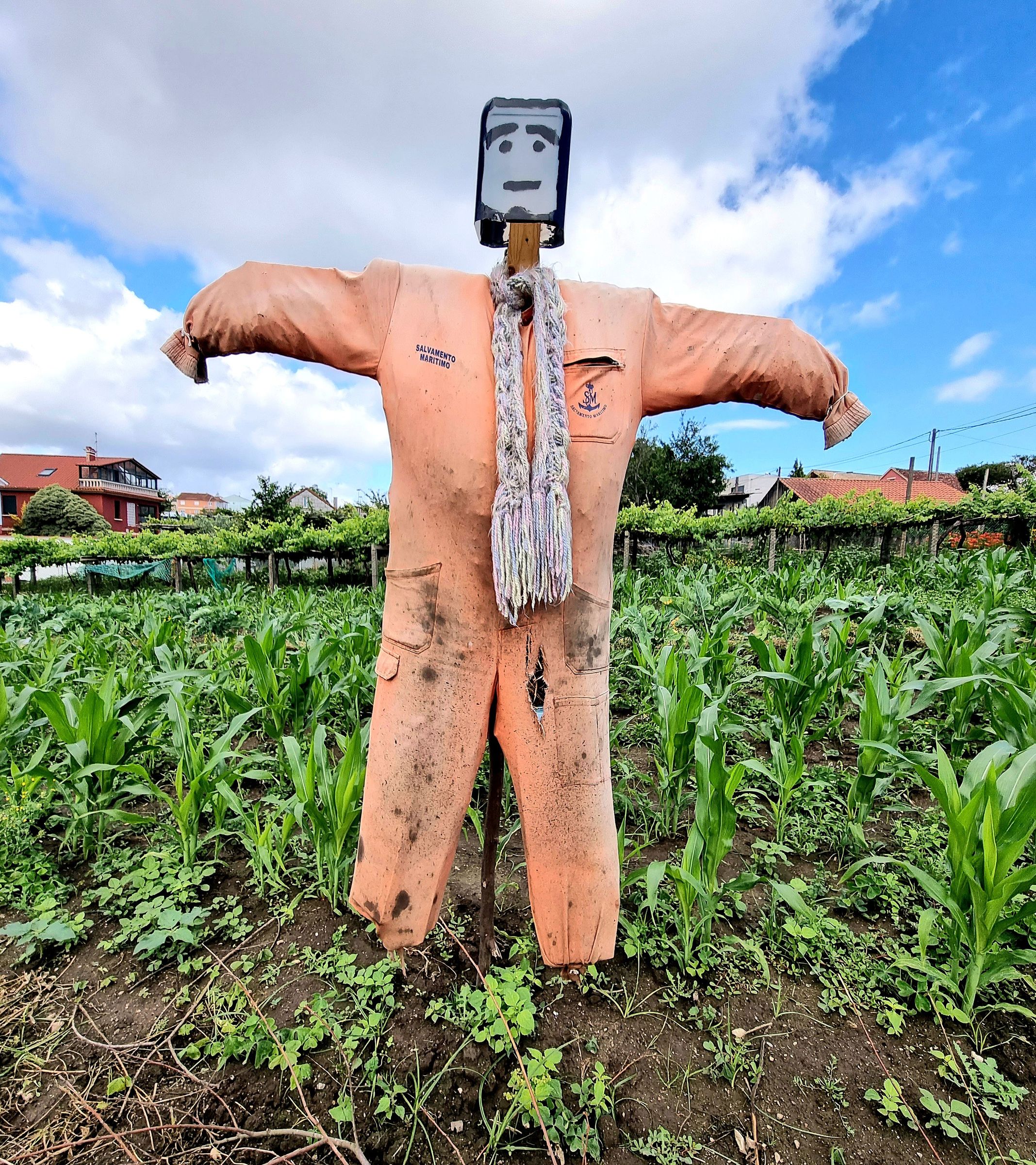 Curiosos espantallos con cara de emoticono nunha finca do concello de Cangas do Morrazo. 21/06/21