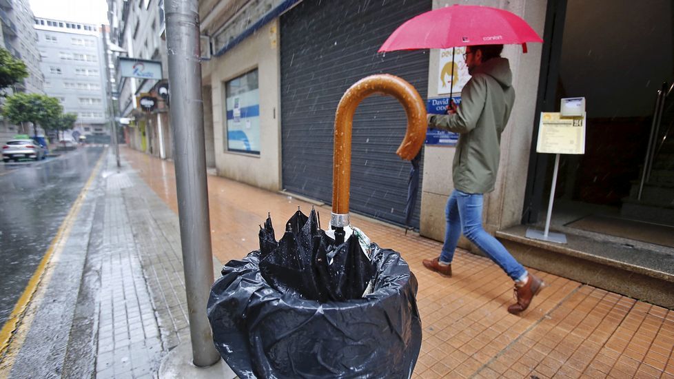 Temporal Miguel