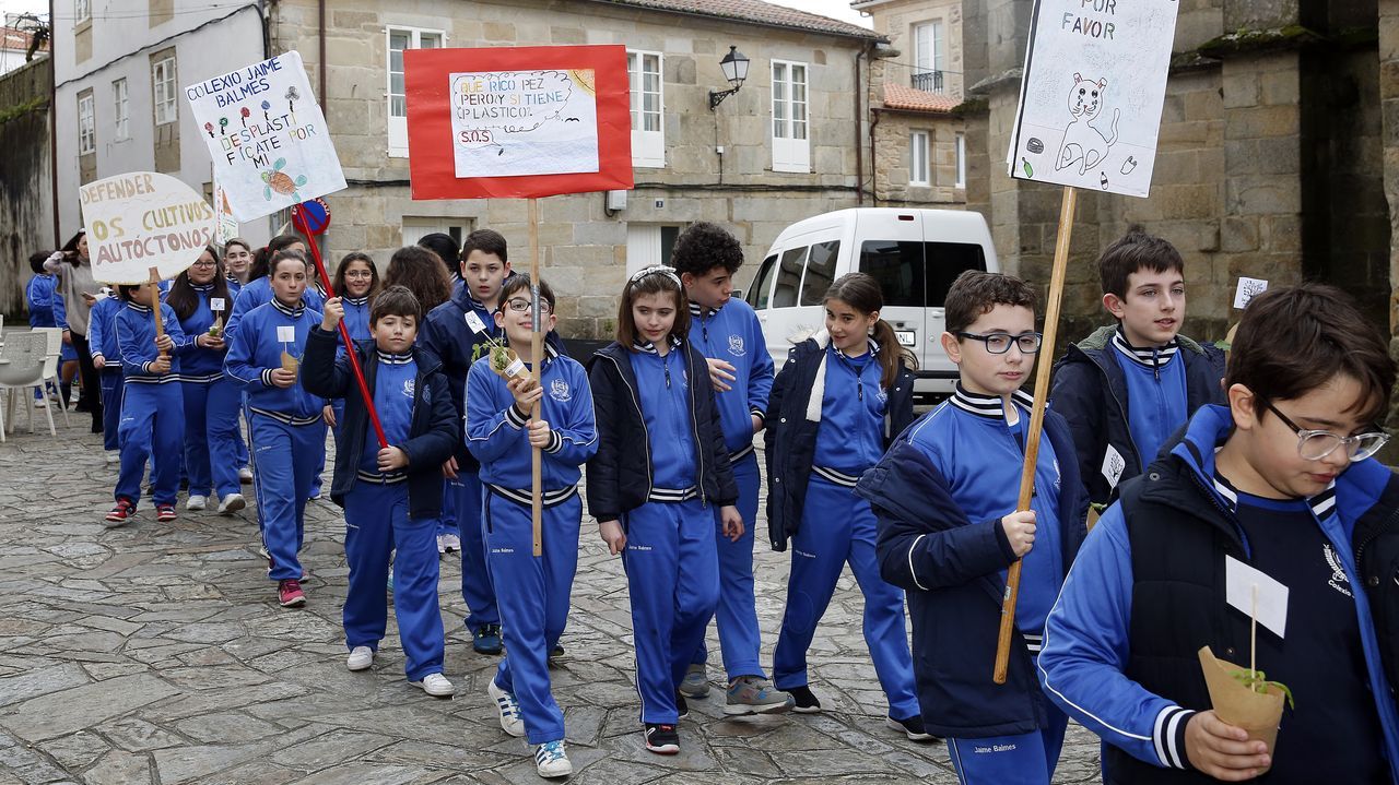Voz Natura final del colegio Jaime Balmes, entrega de brotes de hortalizas de su huerto escolar 2020