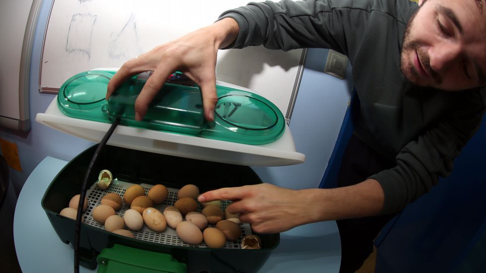 Proyecto voz natura en el colegio Jaime Balmes