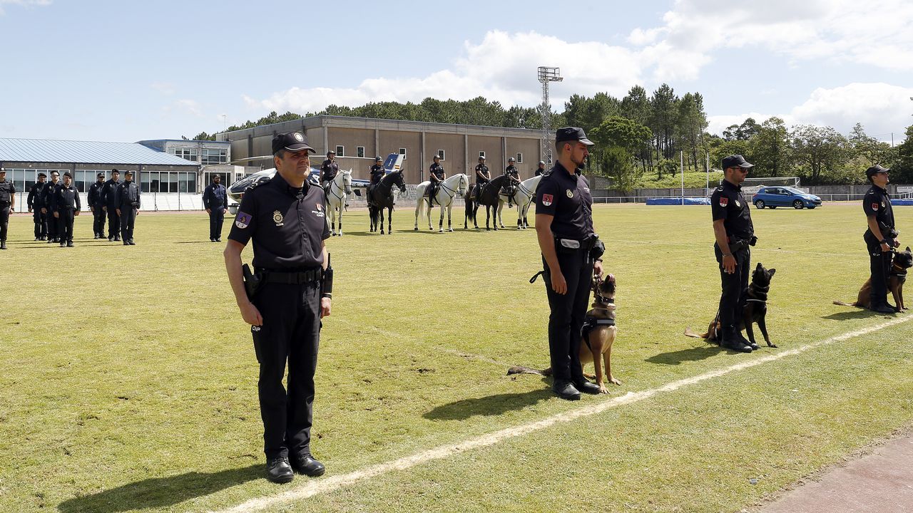 Exhibicion de la Policía Nacional para los escolares de Ribeira con helicoptero, caballería, perros de rastreo