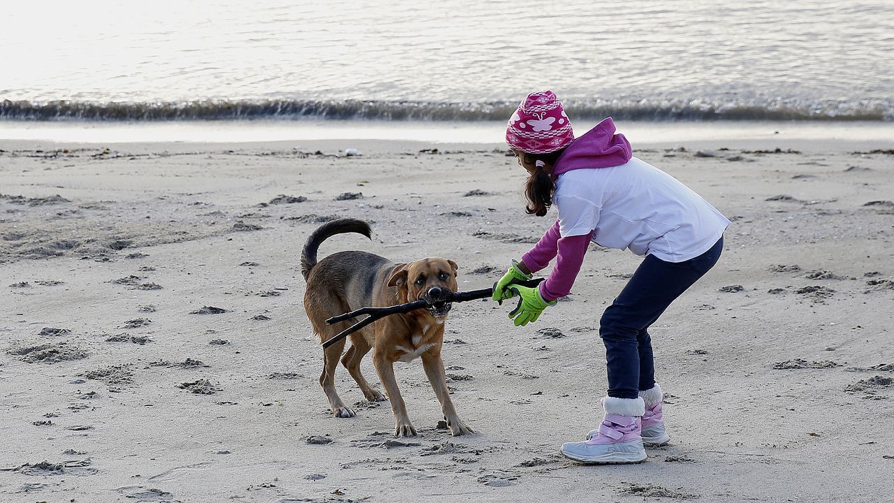 boiro. limpieza de playa de barraña del programa ecomar de jealsa