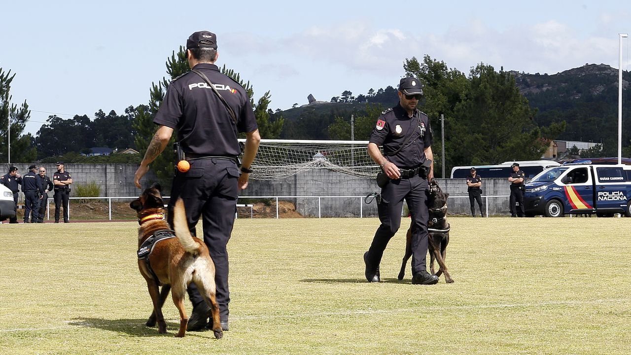 Exhibicion de la Policía Nacional para los escolares de Ribeira con helicoptero, caballería, perros de rastreo