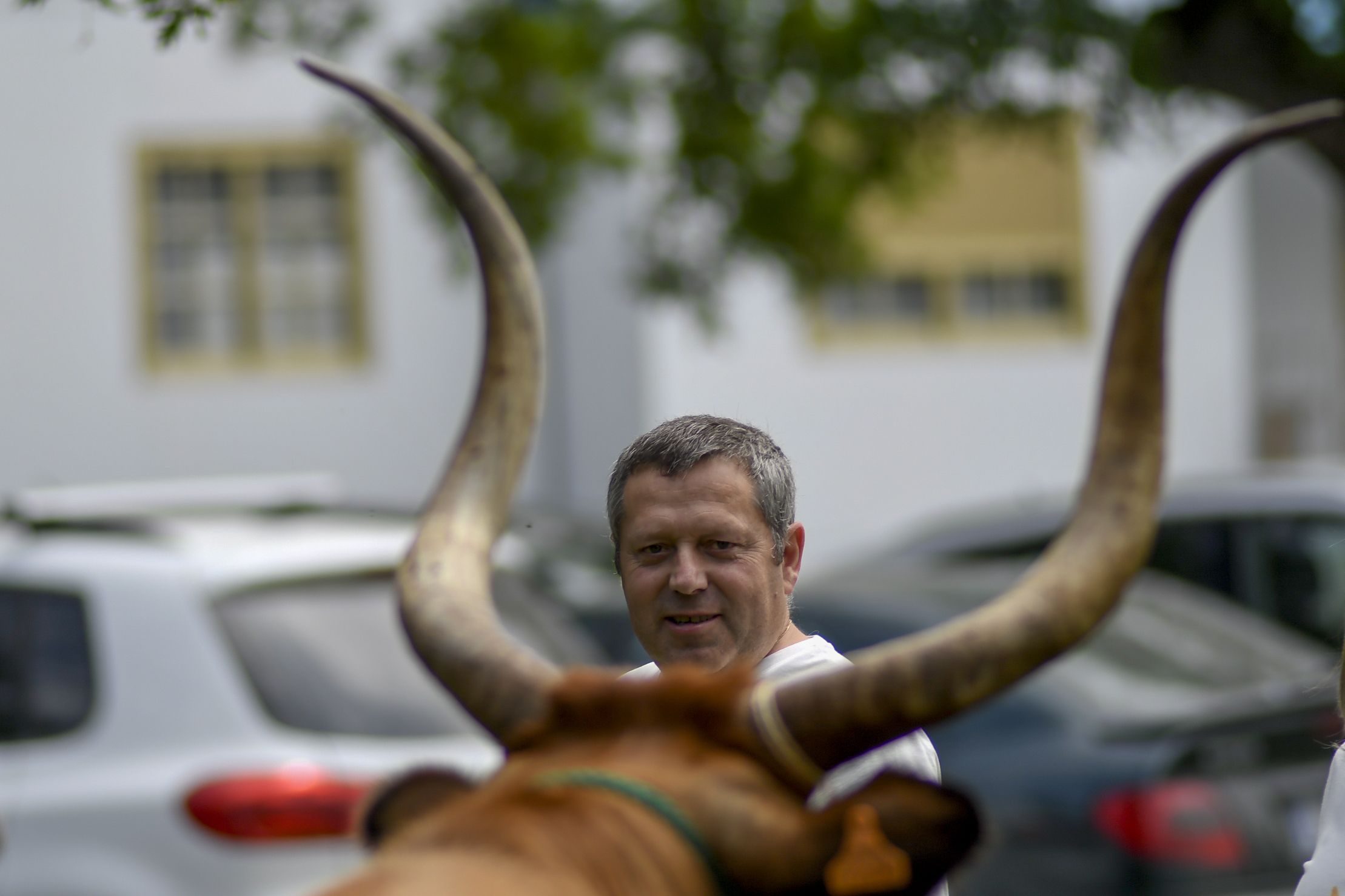 Un momento da celebracin das feiras e festas de primavera de O Pramo. 08/06/2024