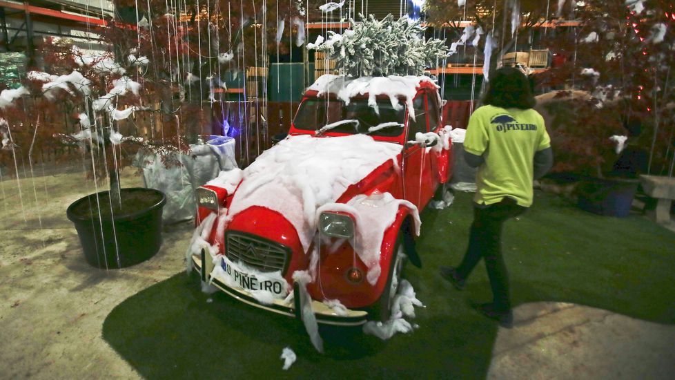 Navidad en Viveiros O Piñeiro
