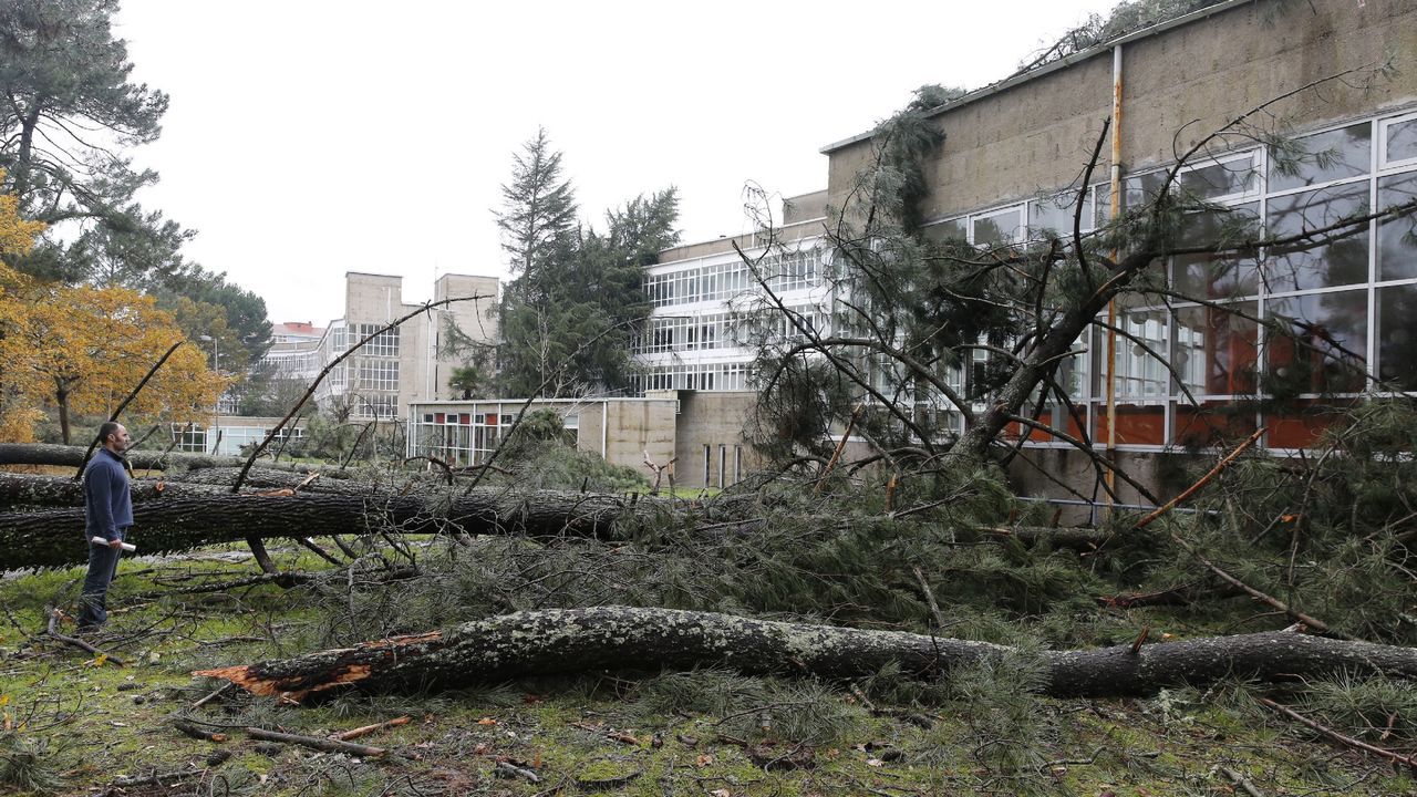 ASÍ HA CASTIGADO EL TEMPORAL A OURENSE.Las comarcas de A Limia y de Verín han sufrido daños en el campo y en edificaciones. En la Universidad Laboral también ha habido destrozos por árboles caídos