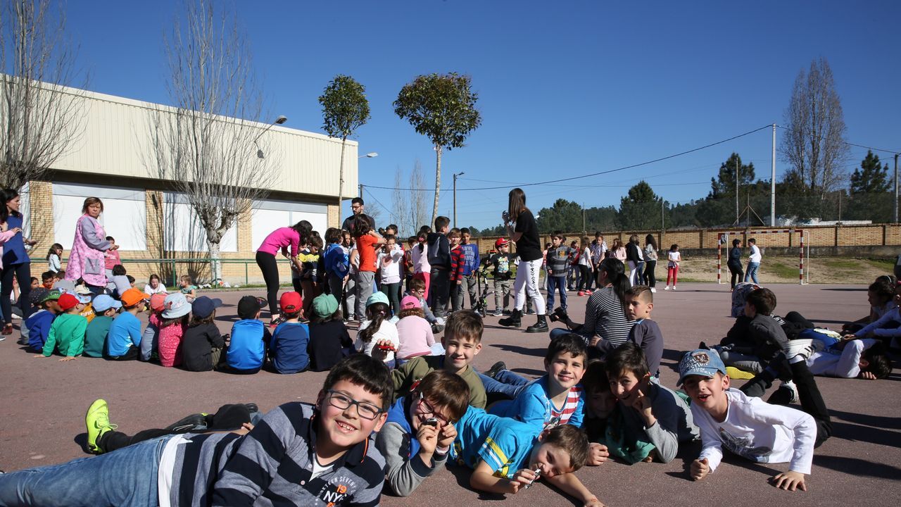 El colegio de Seixalbo disfrutó del día de árbol con un acto simbólico en el centro
