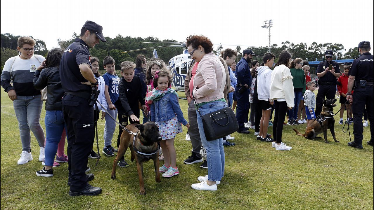 Exhibicion de la Policía Nacional para los escolares de Ribeira con helicoptero, caballería, perros de rastreo