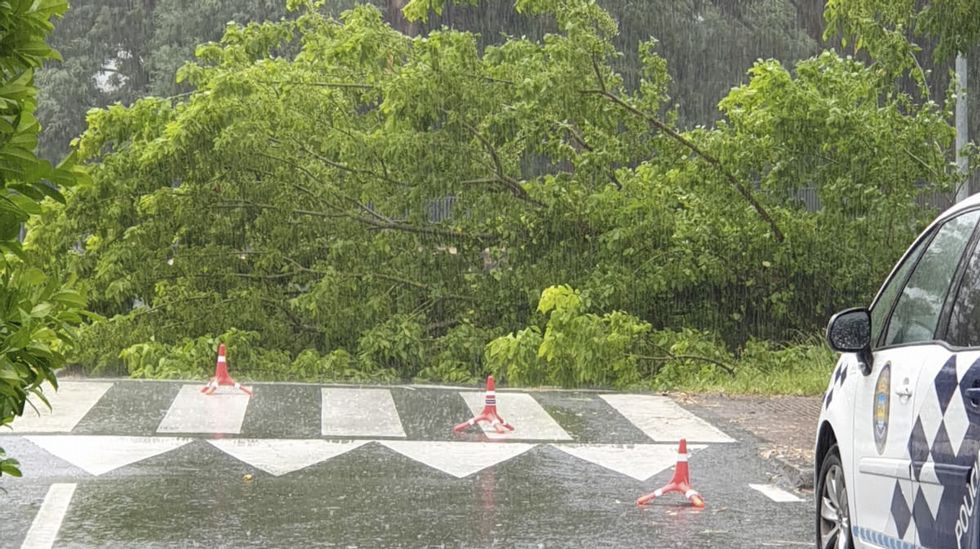 Temporal Miguel