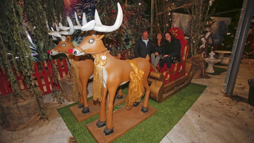 Navidad en Viveiros O Piñeiro