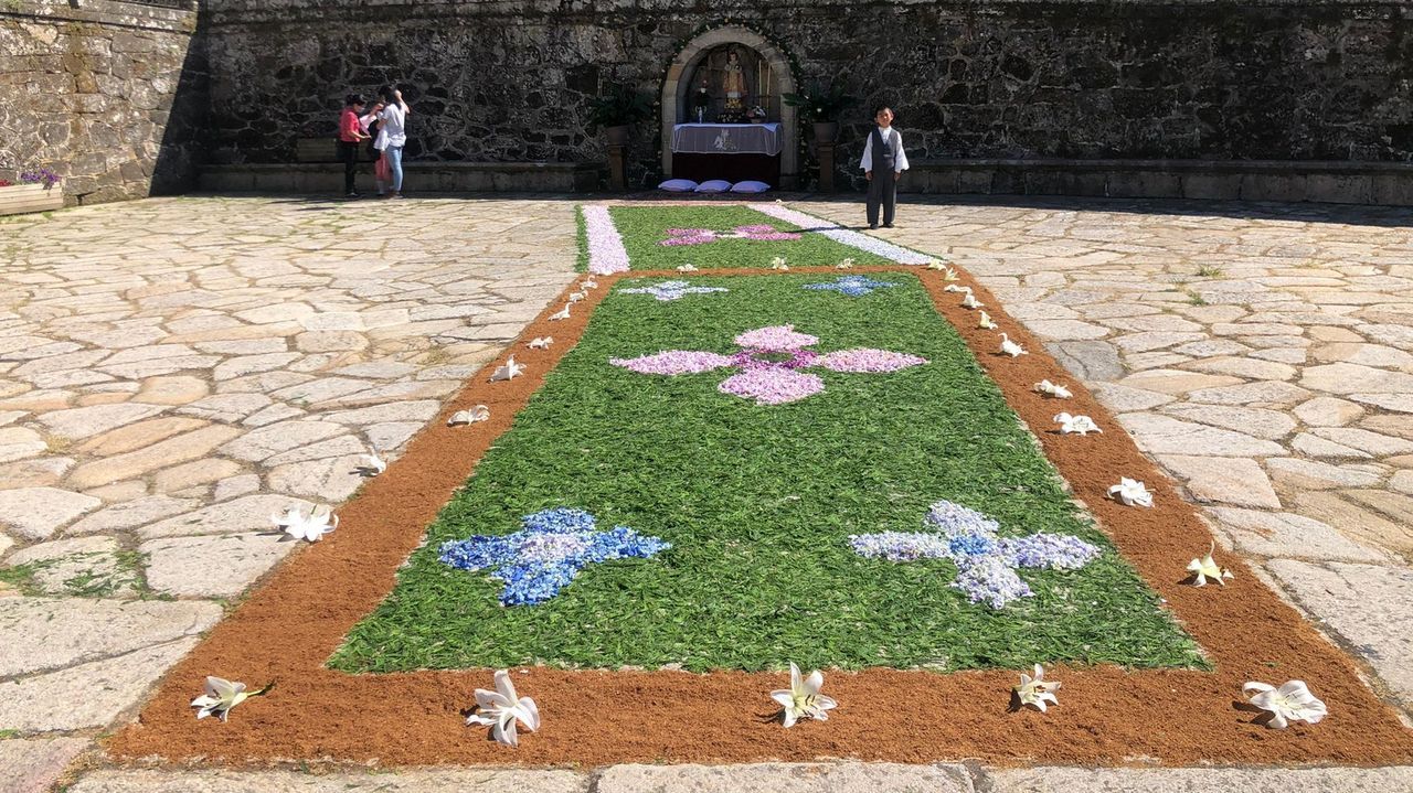 Alfombra floral en Muros
