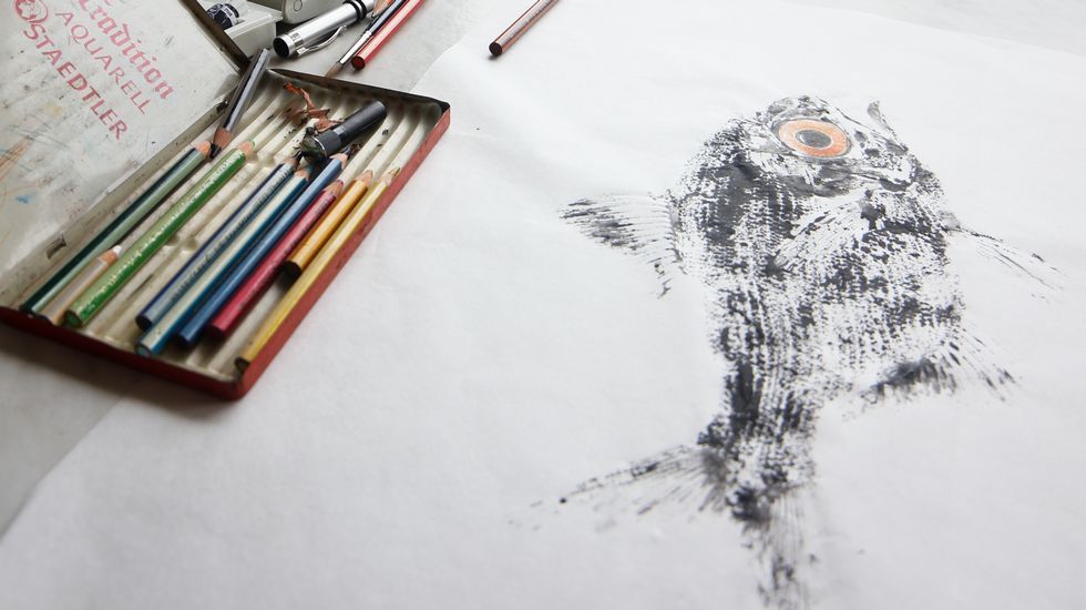 peixes de tinta.El proceso de color ha terminado y este es el resultado