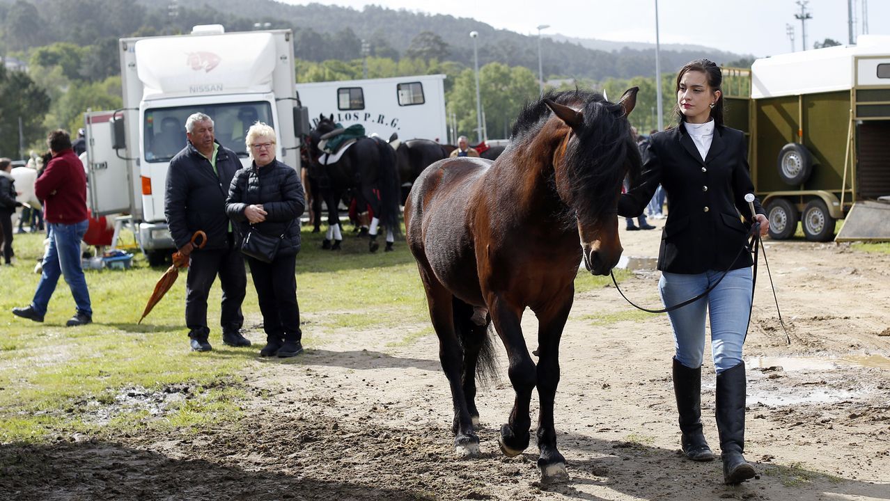 Feria caballar en las Fiestas de San Marcos 2019
