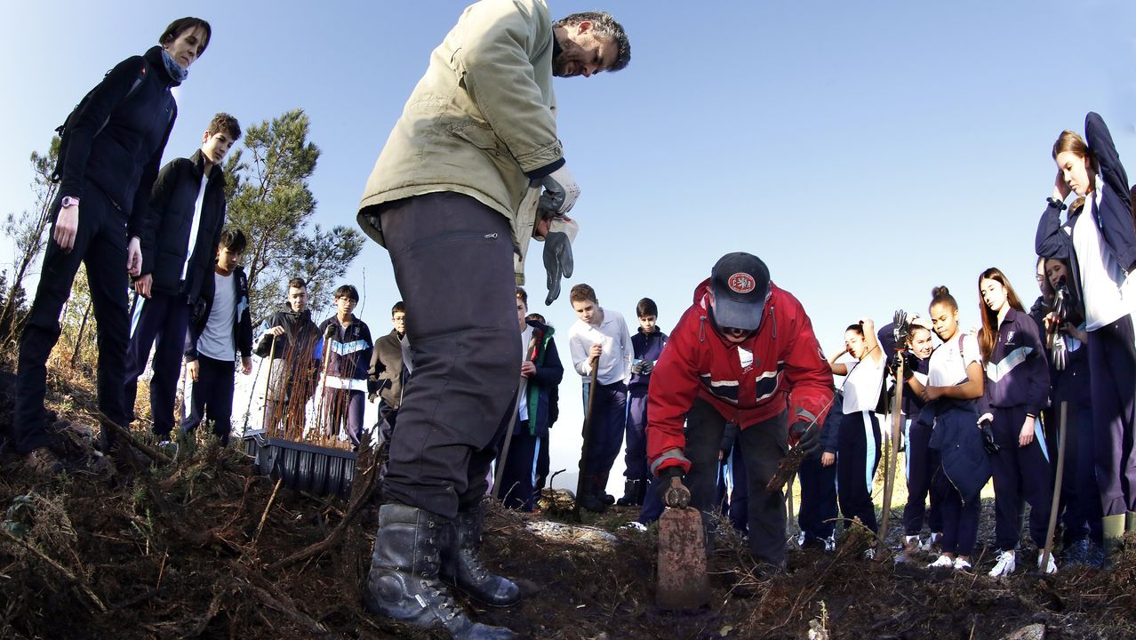Salida de reforestación en Lousame-Noia, plantación de árboles en Froxán alumnos del colegio Colegio San José de Cluny
