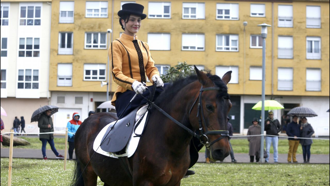 Feria caballar en las Fiestas de San Marcos 2019
