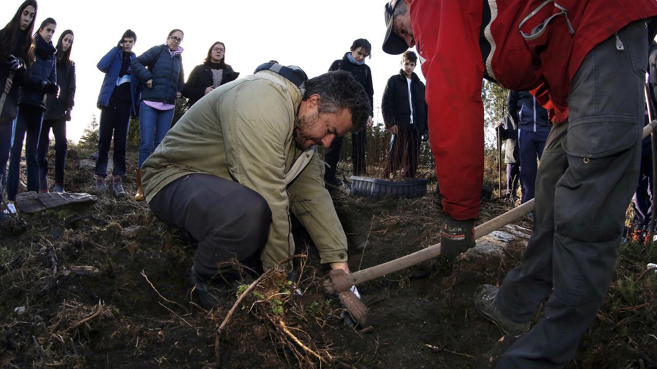 Salida de reforestación en Lousame-Noia, plantación de árboles en Froxán alumnos del colegio Colegio San José de Cluny