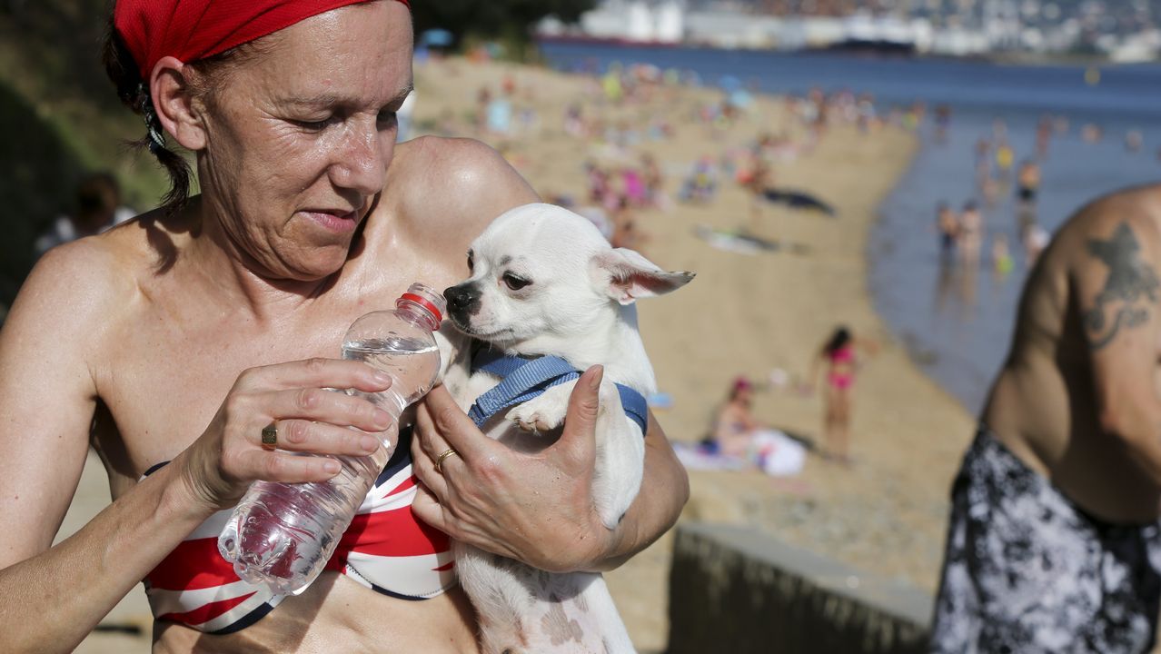 Las mascotas, como esta de Ferrol, también necesitan hidratación