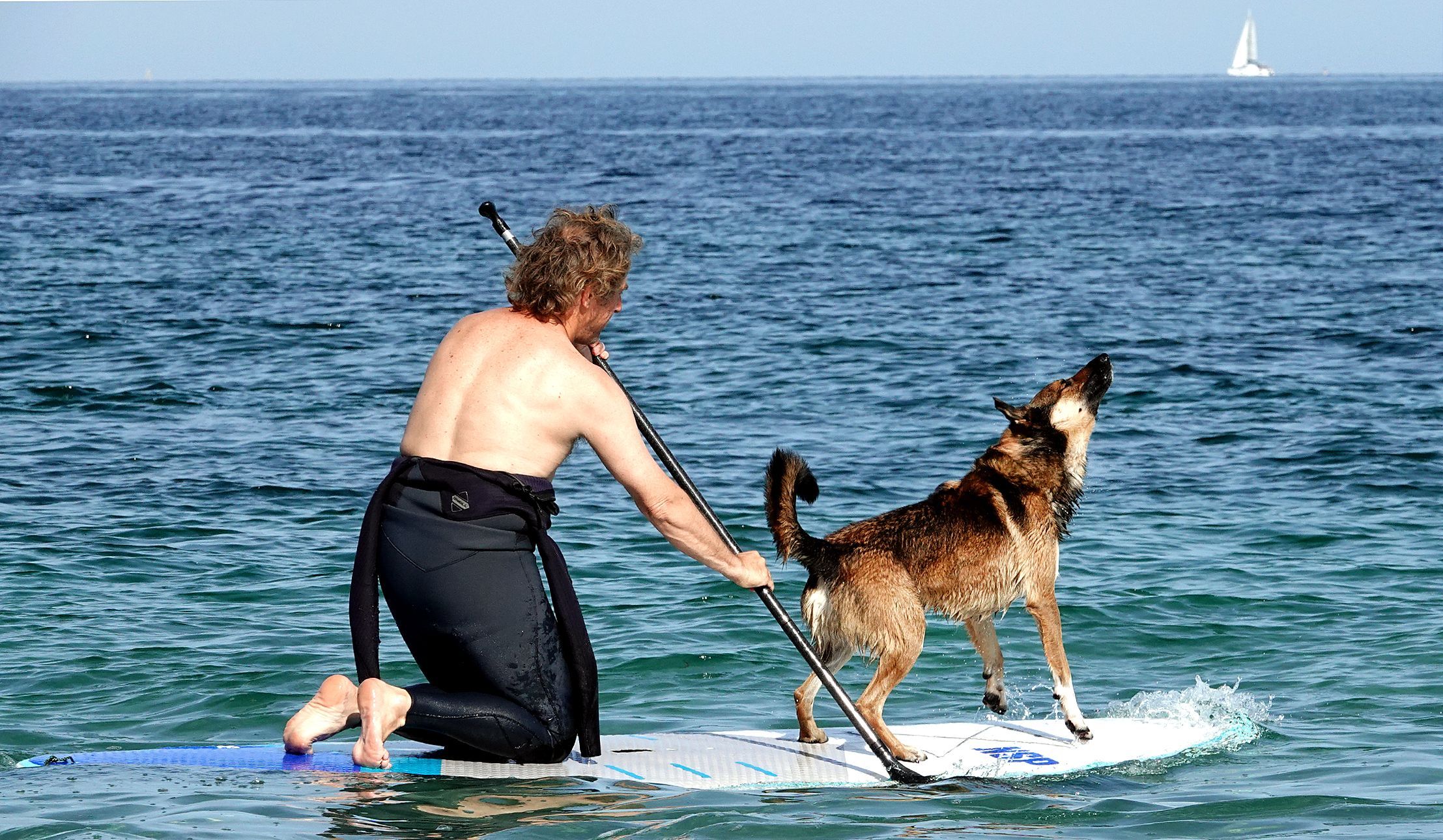O surfista vigu�s Jos� Mendiola surfeando con Wolfy na praia de Prado. 18/05/2023