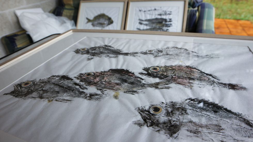 peixes de tinta.«Peixes de tinta» es la exposición de los artistas que se pueden encontrar en el Aquarium Finisterrae
