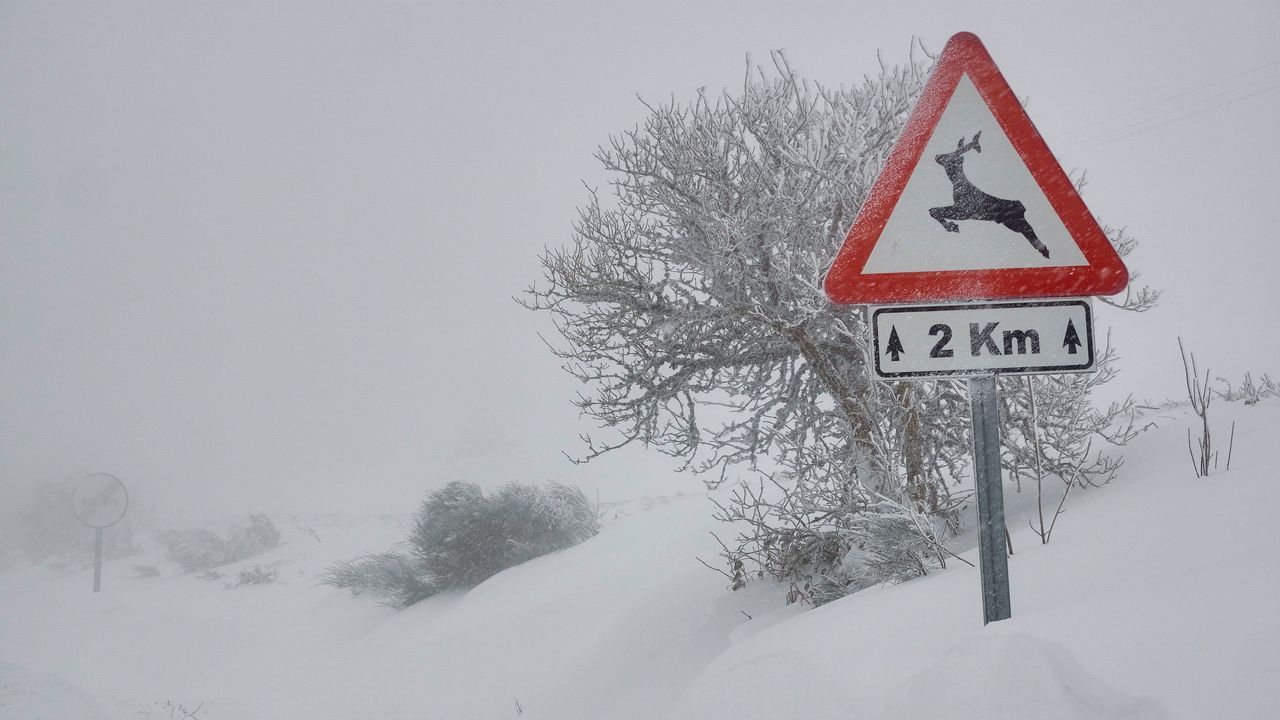 Temporal de nieve en Bilbao