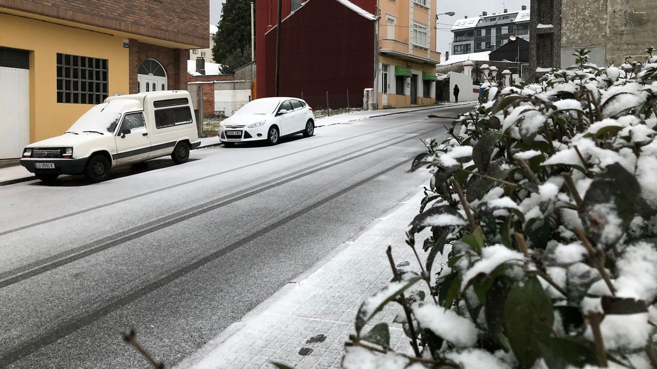 Nevada en Guitiriz