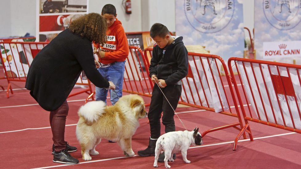 III Exposición Canina de Ponte Caldelas