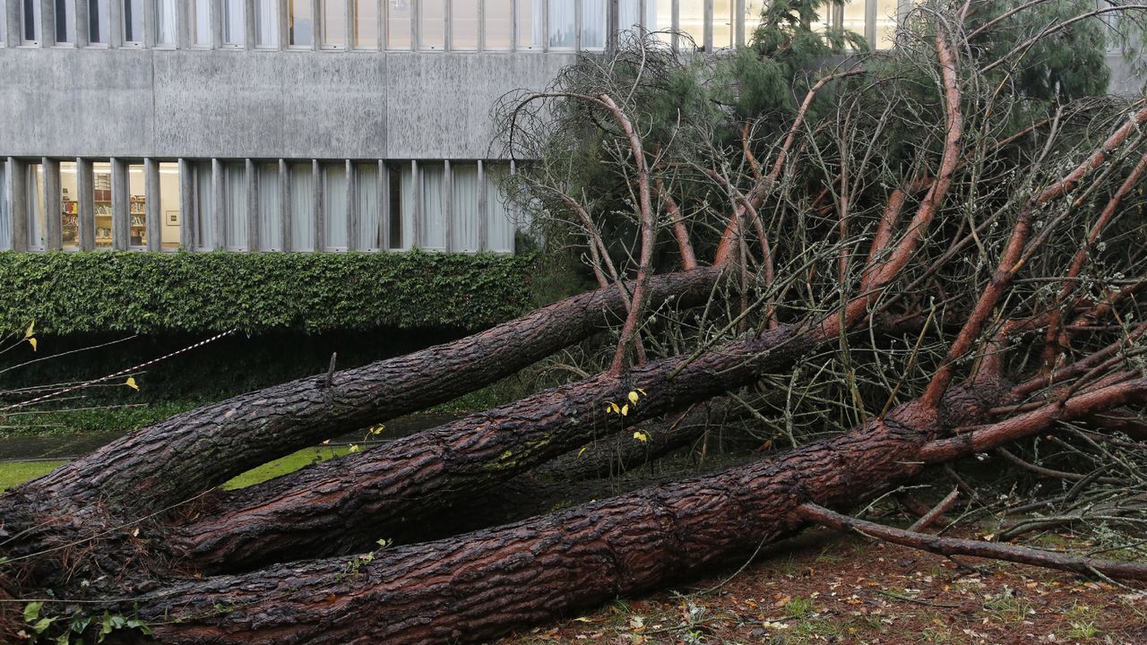 ASÍ HA CASTIGADO EL TEMPORAL A OURENSE.Las comarcas de A Limia y de Verín han sufrido daños en el campo y en edificaciones