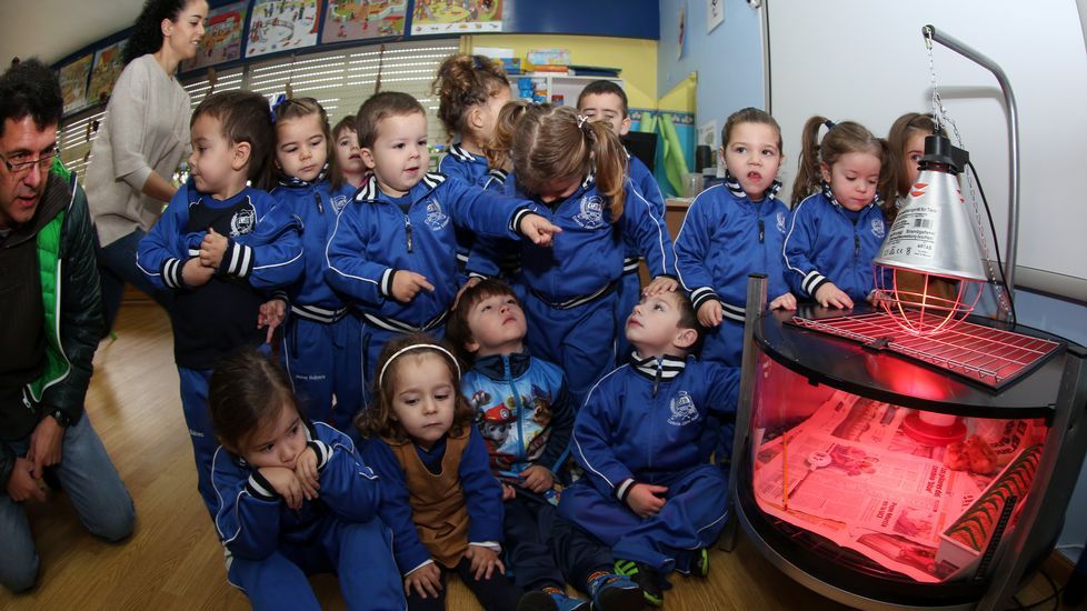 Proyecto voz natura en el colegio Jaime Balmes
