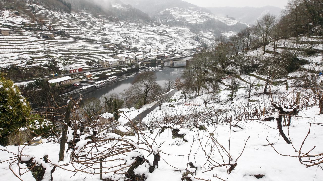 La nieve que deja el temporal cubre los bancales de las viñas de la Ribeira de Belesar.