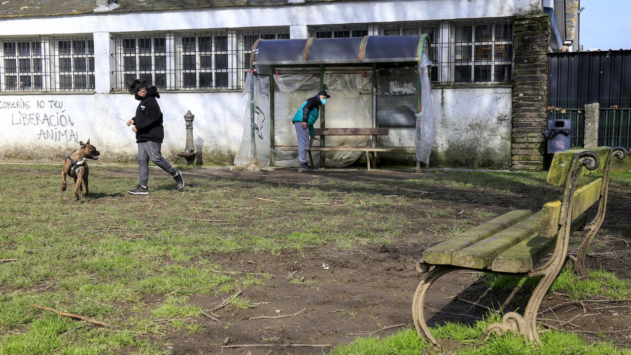 El canil de Frigsa se encuentran en un estado que dificulta su disfrute tanto a los canes como a sus dueños
