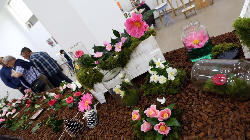 Exposición de la camelia en Boiro