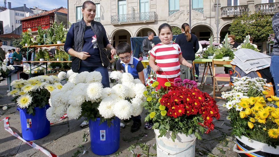 Mercado de flores para Todos los Santos